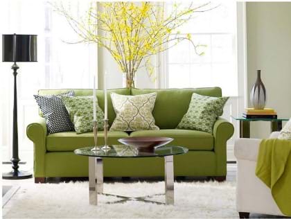 Bright living room with a freshly cleaned white shag rug